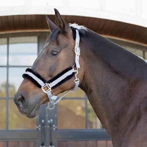 Valkyrie Ultra Fleece Padded Leather Fuse Breakaway Horse Halter (Slate Grey/Black / Cob)