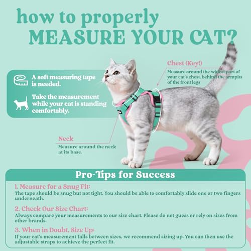 Cat Harness and Leash Set (Xs / Green & Pink)