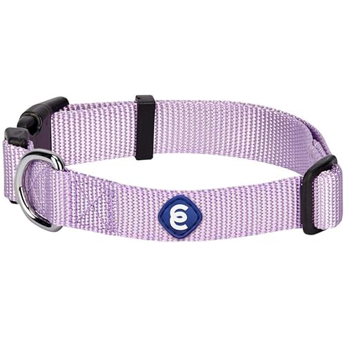 Essentials Lavender Dog Collar for Large Dogs (Large / Lavender)