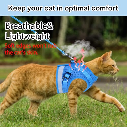 Cat Harness and Leash Set (M (Chest: 12" - 14") / SkyBlue)