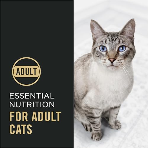 High Protein Dry Cat Food (3.5 Pound (Pack of 1))
