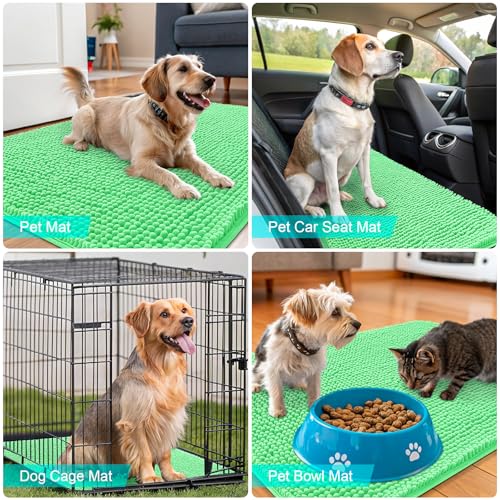 Dog Door Mat for Muddy Paws 30x20 (Mint Green / 30" X 20")
