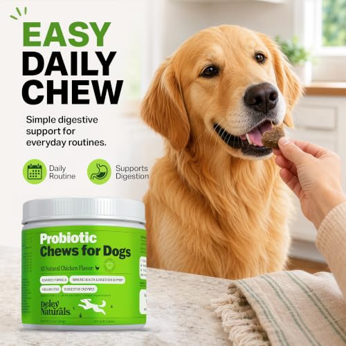 Dog Probiotic Chews (Probiotics - 120 Soft Chews)