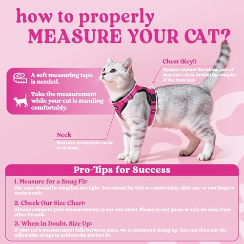 Cat Harness and Leash Set (S / Rose Red)