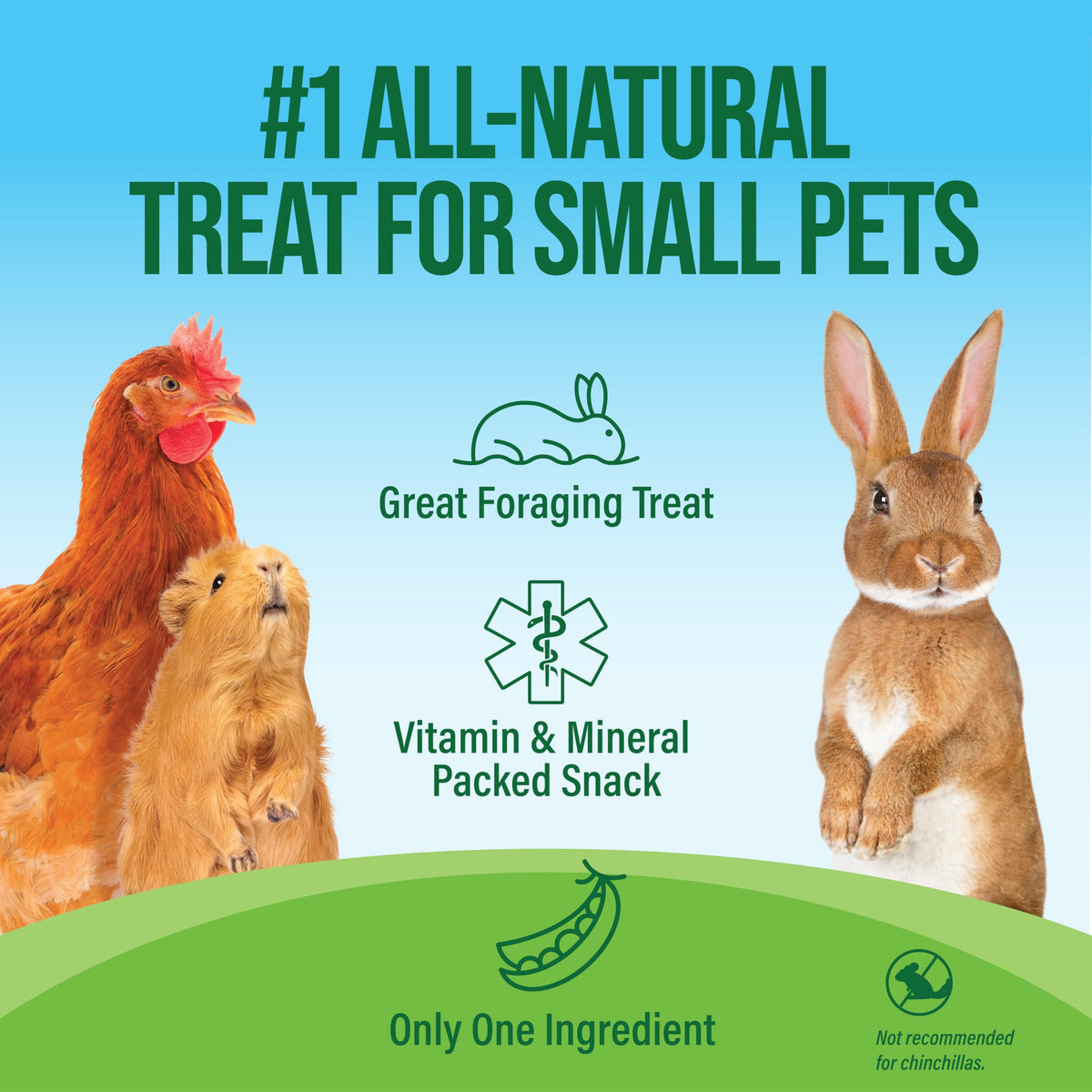 Pea Flakes Treats for Rabbits & Guinea Pigs (16 Ounce (Pack of 1))