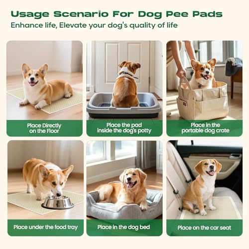 Bamboo Small Puppy Pads Pee Pads for Dogs 22"x22" 100 Count (22 x 22 inches (100 Count))