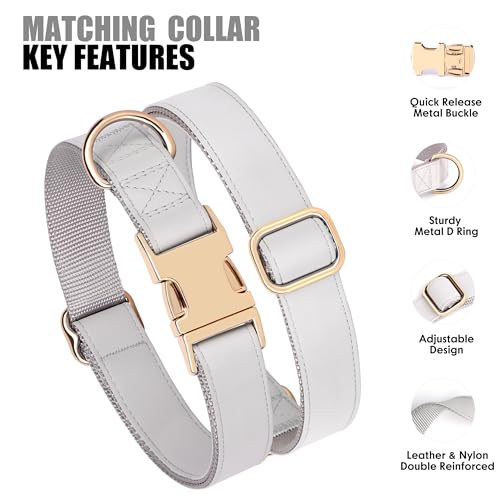 Soft PU Leather Dog Collar (M: Fit 13-19" Neck(20-55 lbs) / Gray)