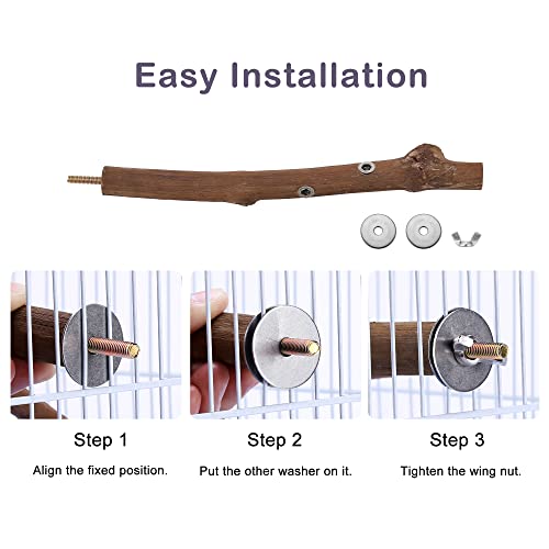 Natural Bird Perch Stand for Cage