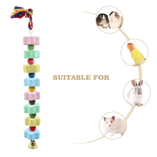 2 Pack Bird Chewing Toy (Multi-colored / 13.77 inch Long)