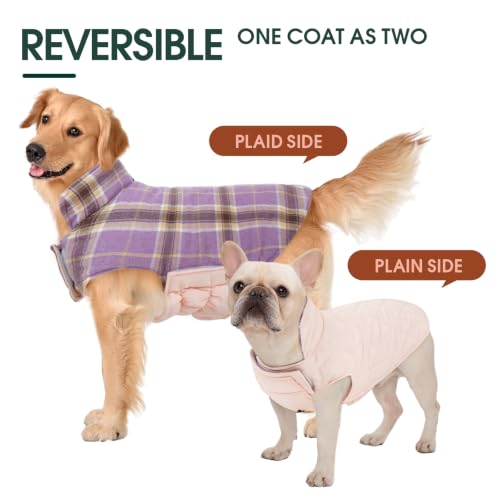 Waterproof Dog Coat (Lavender / 2X-Large (Pack of 1))