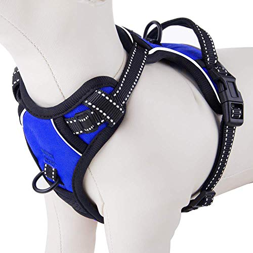 No Pull Dog Harnesses for Small Puppies Reflective Adjustable Front Clip Vest with 2 Metal Leash Attachment Hooks Soft Handle [Over The Head Design] (Medium / Royal Blue)