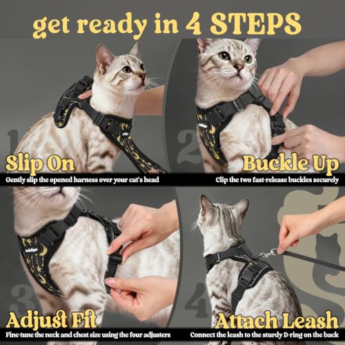 Cat Harness and Leash Set (Xxs / Lunar Prowl)