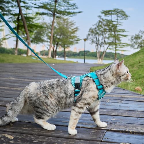 Cat Harness and Leash Set (Turquoise / Small)