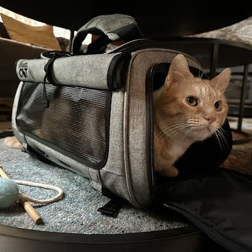 Travel Cat Carrier Bag