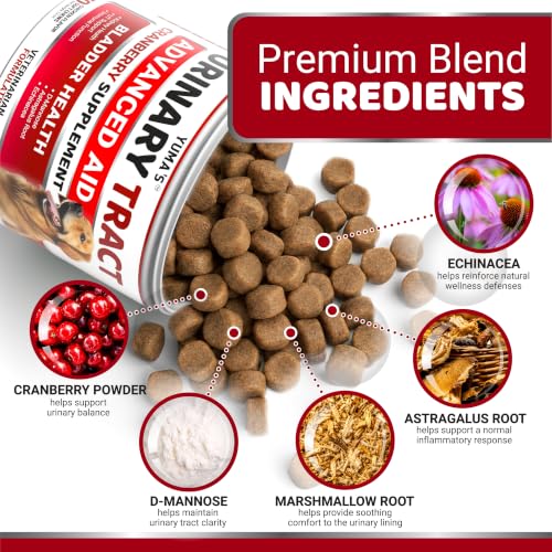 Cranberry Supplement for Dogs (Urinary & Bladder Multivitamin / 170 Chews)