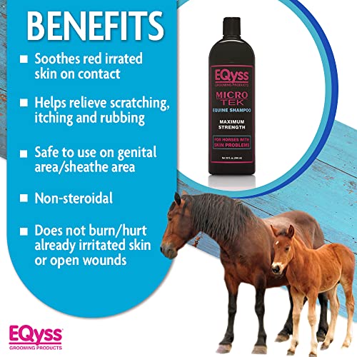 Micro Tek Equine Itch Relief Shampoo (32 Fl Oz (Pack of 1))