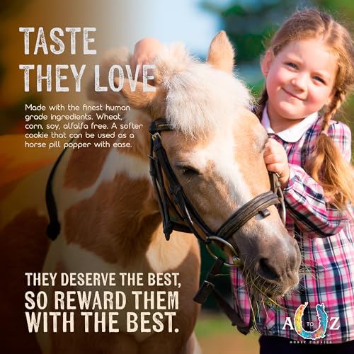 Horse Treats Original Flavor