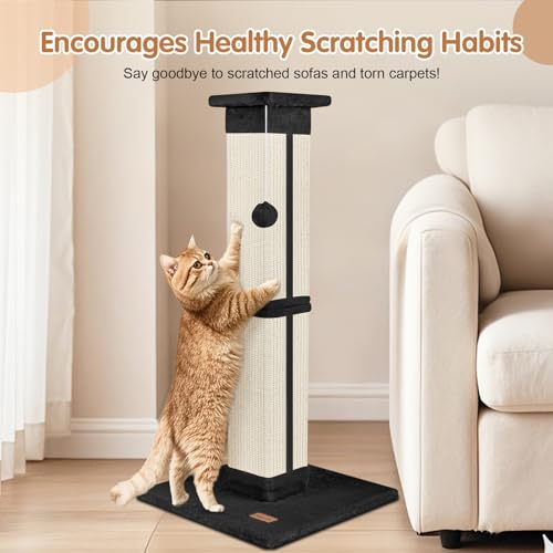 Cat Scratching Post 33 inch for Indoor Cats (Black)