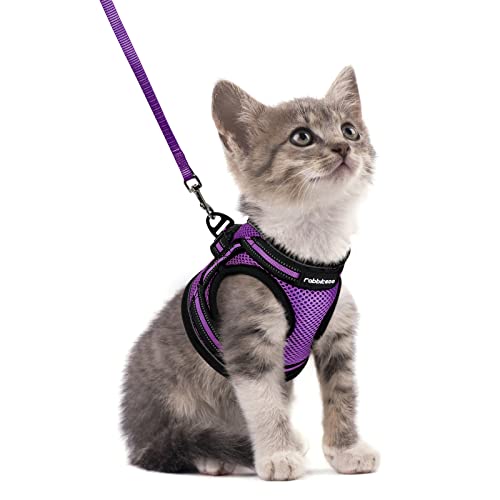 Cat Harness and Leash Set (S / Purple)