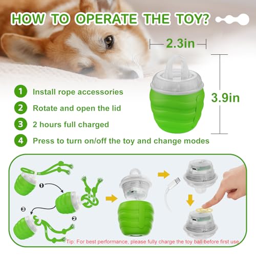 Interactive Dog Toy (Green / Medium/Large)