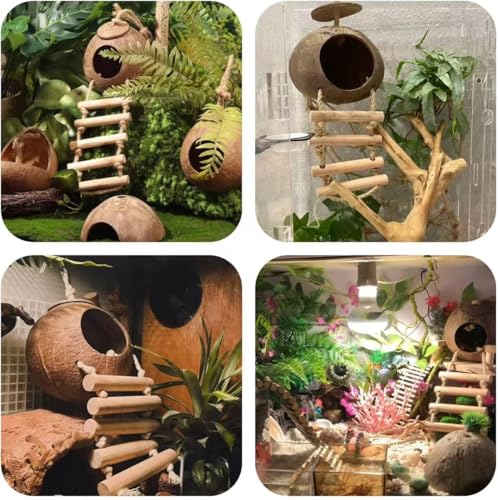 10PCS Crested Gecko Tank Accessories Set (Large with Double Coconut Shell)