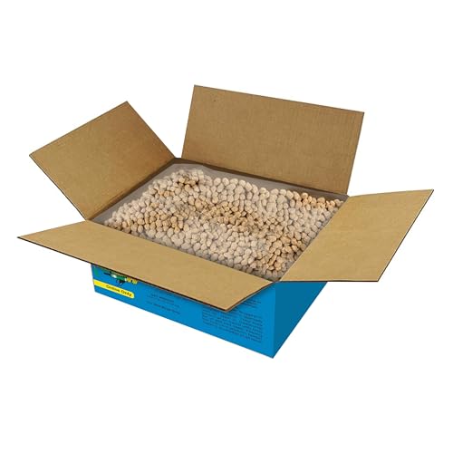 Berry Flavor Suet Nuggets (8 Pound (Pack of 1))