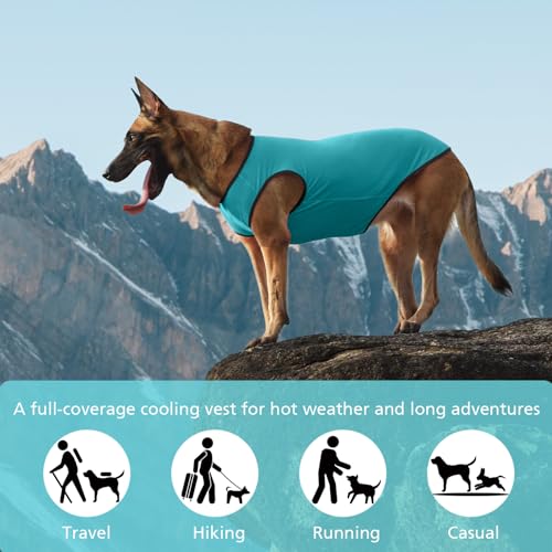 2 Pack Cooling Shirts for Dogs (2XL(chest:18.5-20.5") / Lake Blue&Orange)
