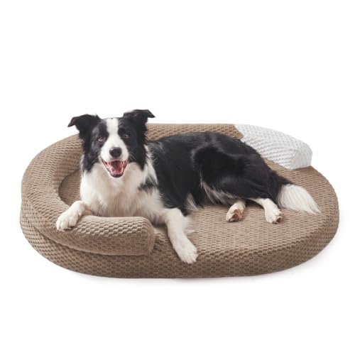 Orthopedic Dog Beds Large Sized Dog (Brown / L(36"x 27"x 6"))