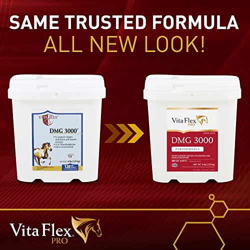 Pro DMG 3000 Horse DMG Concentrate