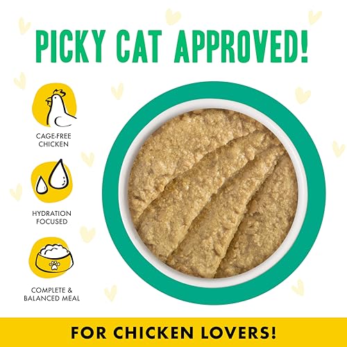 B.F.F. PLAY Best Feline Friend Paté Lovers (3 Ounce (Pack of 12))