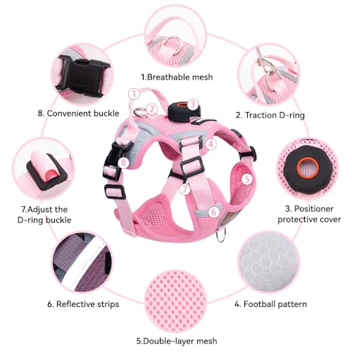 Cat Harness and Leash Set with AirTag Holder (Pink (Holder for Airtag) / XL)
