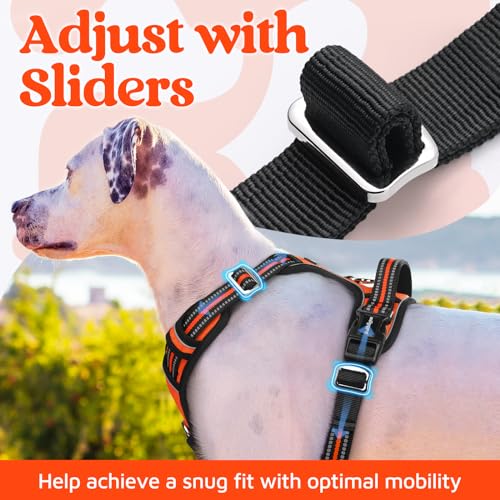 Dog Harness for Large (Orange / Large)