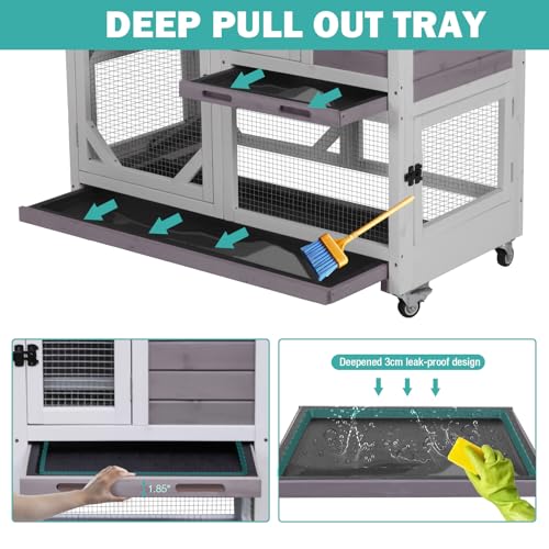 Rabbit Hutch Indoor for 2
