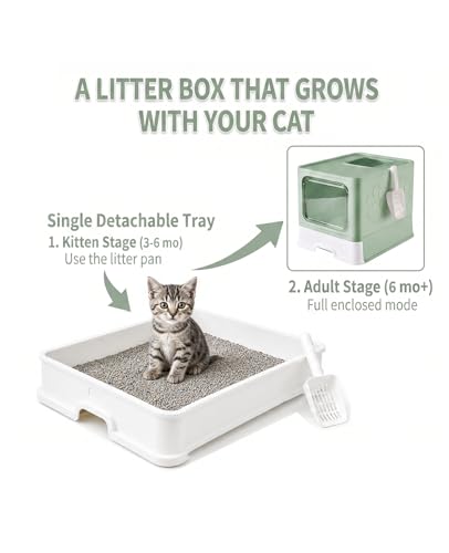 Cat Litter Box with X (Upgrade Green)
