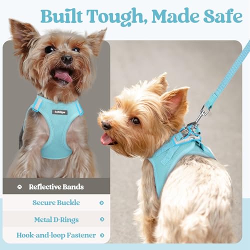 Dog Harness Small Sized and Leash Set (Mint Blue / Xxs (chest: 12.4 - 14.2"))