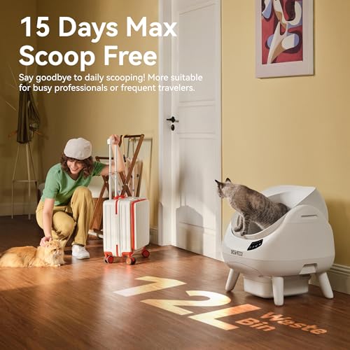 Self Cleaning Cat Litter Box Open (Grey / Large, Single-Cat)