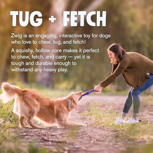 Zogoflex Echo Zwig Squeezy Dog Fetching Stick (Aqua Blue)
