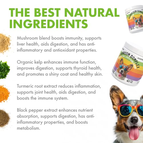 Mushroom Complex Treats for Dogs with Reishi (Mushroom / 120)