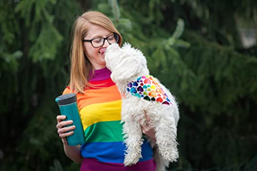 Valentine's Dog Bandana (Love / Large (Pack of 1))