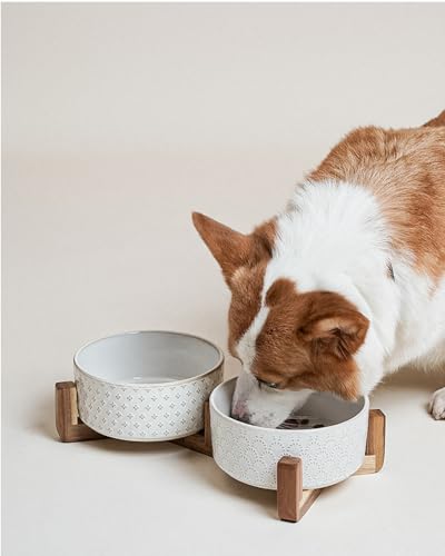 Dog Bowls Ceramic for Small Medium Dogs (Fireworks+Clover / M-4 Cup)