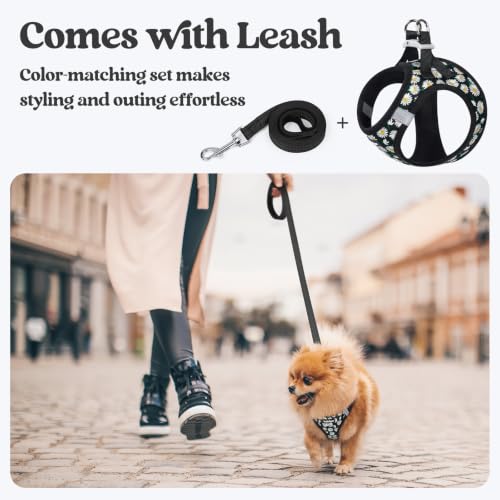 Dog Harness Small Sized and Leash Set (Midnight Daisy / Xs (chest: 13.3 - 15.5"))