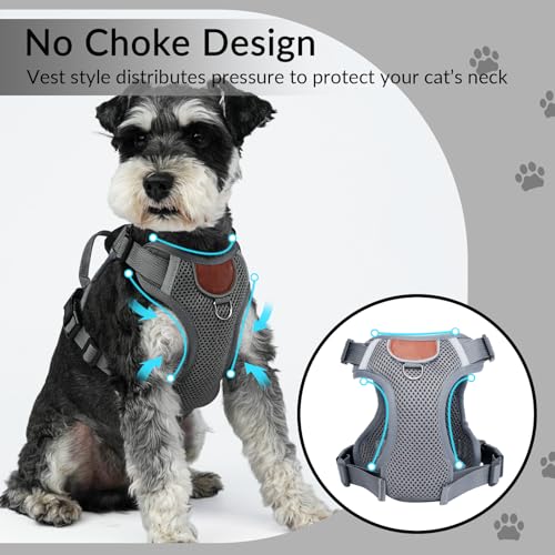 Harness and Leash Set with AirTag Holder for Large Cat Small Dog (Grey (Holder for Airtag) / XL)