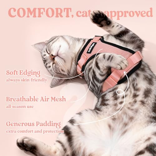 Cat Harness and Leash Set (M / Light Salmon Pink)
