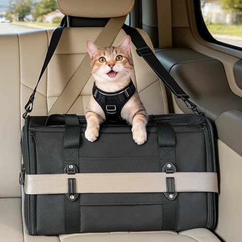Large Cat Carrier with Patented Safety Buckles (19.0"L x 12.0"W x 12.0"H / Black)
