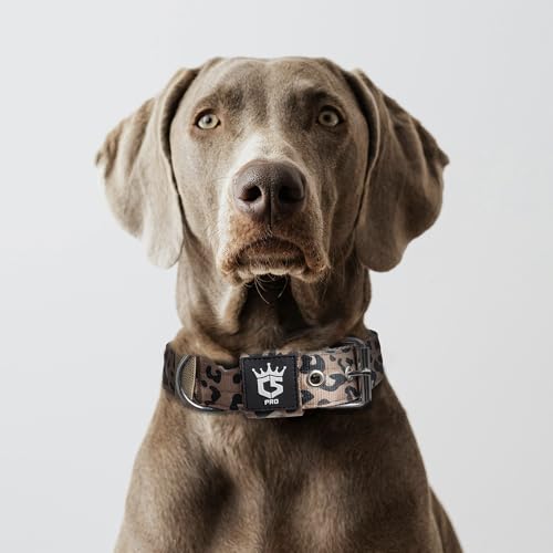 Heavy Duty Thick Dog Collar with Metal Buckle for Large Dogs (L – Fits Neck 18.9"-21.7" / Leopard Print)