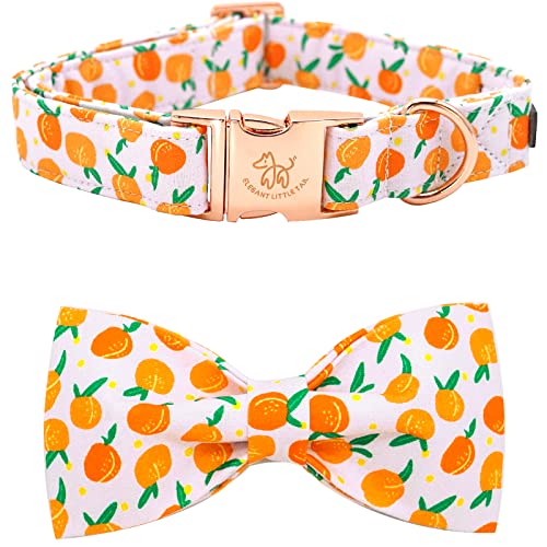 Dog Collar Peach Pattern Pet Collars with Bow Girl (Peach / Medium (Pack of 1))