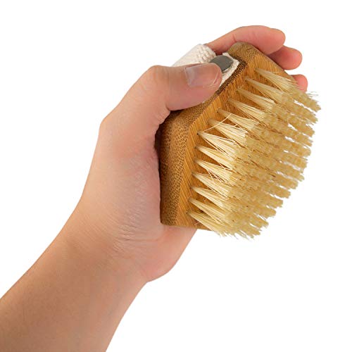 Palm Brush with Hemp Bristles (Brown / 24 Count)