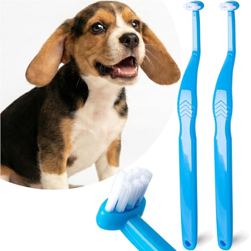 Small Dog Toothbrush (Blue - Horizontal Head / 1 Count (Pack of 2))