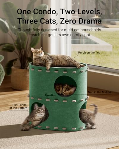 Cat House for Indoor Cats (Forest / Double)