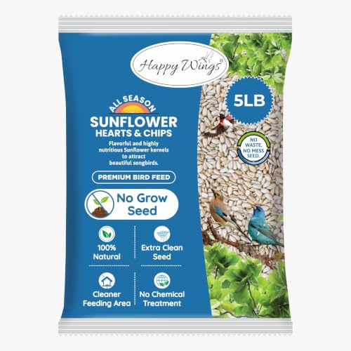 5LB Sunflower Heart & Chips (5 Pound (Pack of 1))